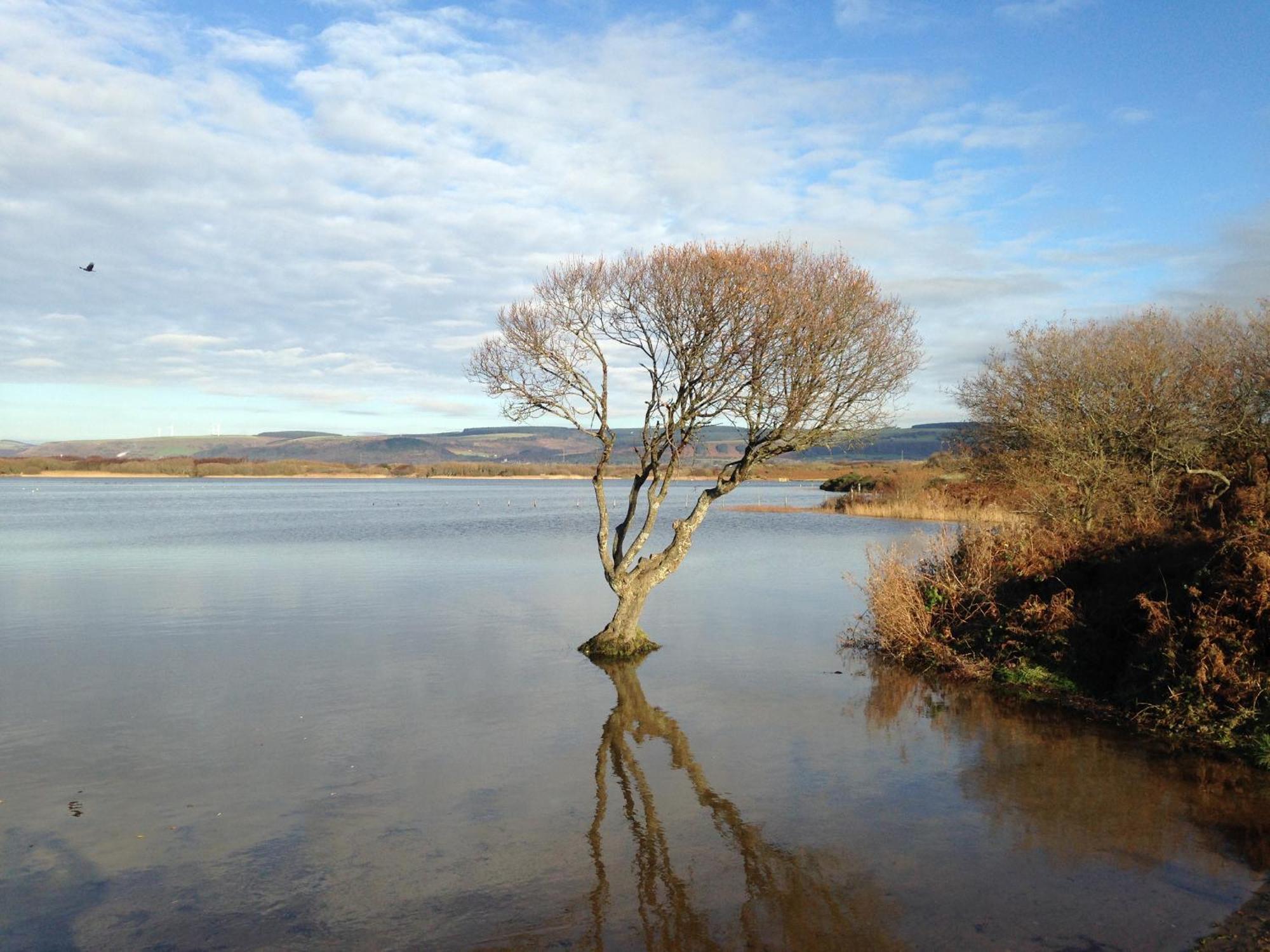 ブリジェンド Kenfig Farmヴィラ エクステリア 写真
