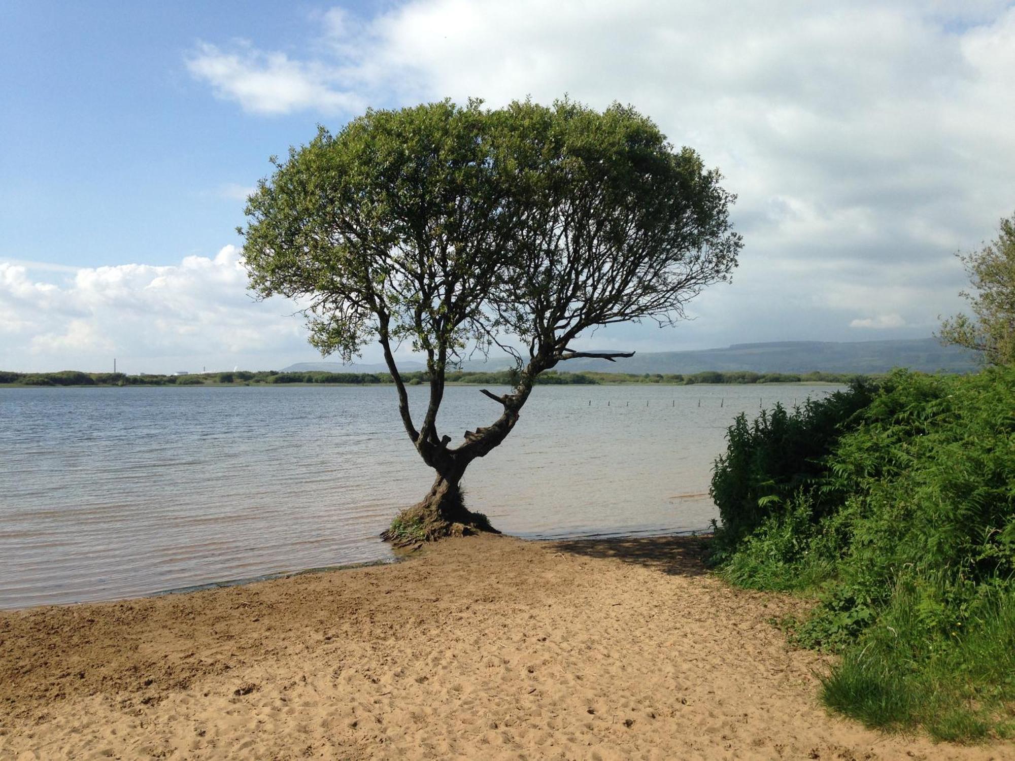 ブリジェンド Kenfig Farmヴィラ エクステリア 写真